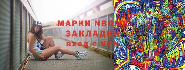 дживик Бронницы