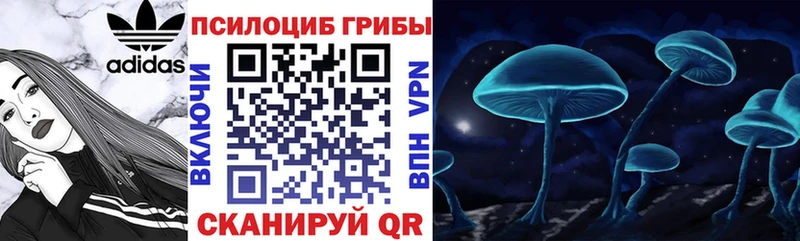 наркошоп  Вятские Поляны  Галлюциногенные грибы прущие грибы 