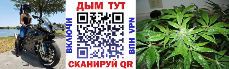 Бошки Шишки Amnesia  хочу   Вятские Поляны 